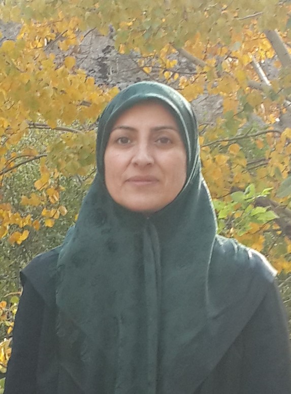 گیتی ترکمان