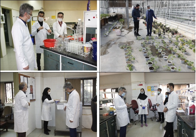 :  بازدید معاون پژوهشی پردیس کشاورزی از آزمایشگاه ها 